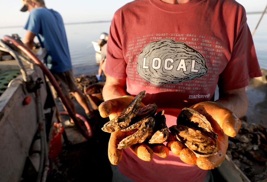 Cappahosic Oyster Company heads out on the York River to harvest oysters in a new Marker 9 t-shirt. 